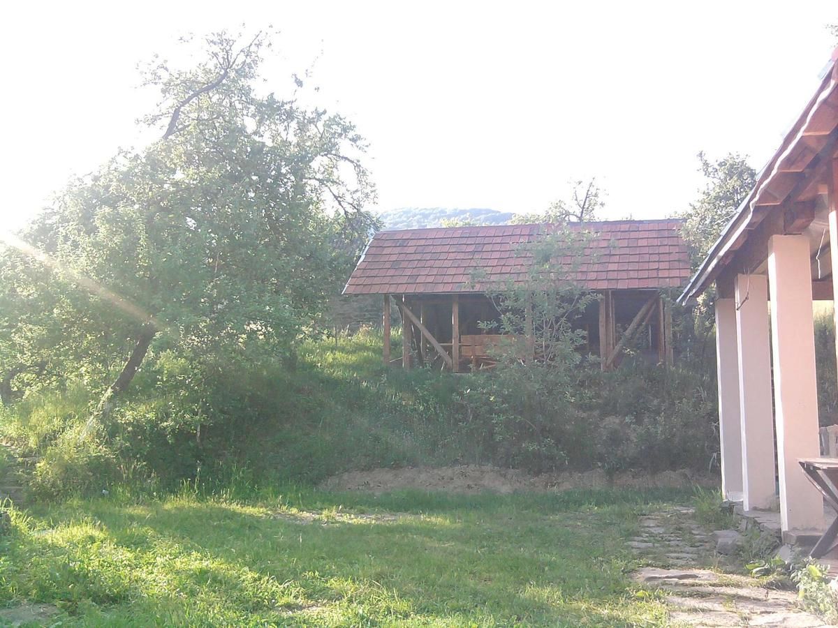 Загородные дома Sergei Лумшоры